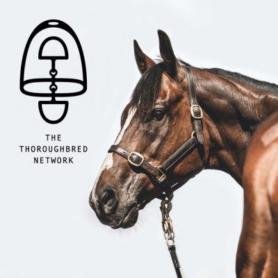 The Thoroughbred Network Podcast
