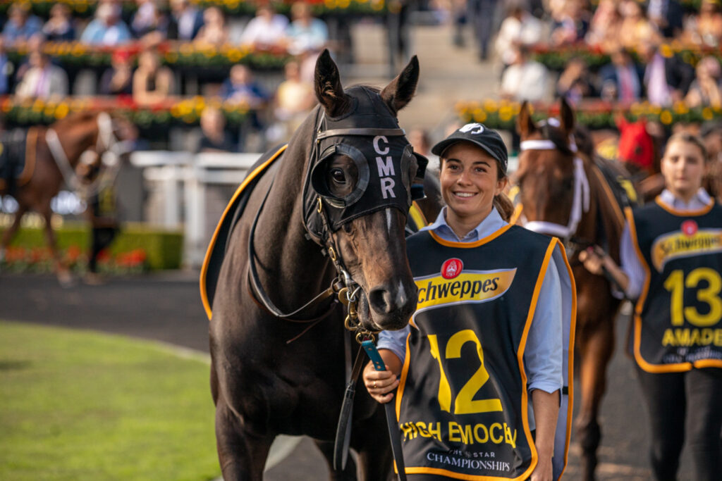 Theatre of the horse, pre-race parade.