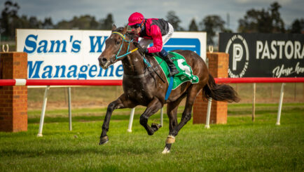 Thoroughbred Dubbo Turf Club