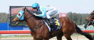 Elite Thoroughbreds