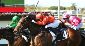 Group One Thoroughbred Race horse