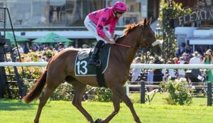Affinity Thoroughbred Racing
